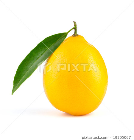 图库照片 yellow lemon with leaf isolated