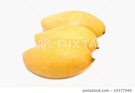 图库照片: yellow mango ,thai fruit favorite isolated