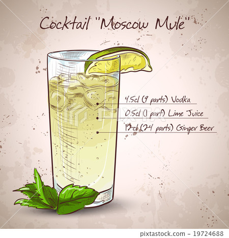 插图素材: cocktail moscow mule