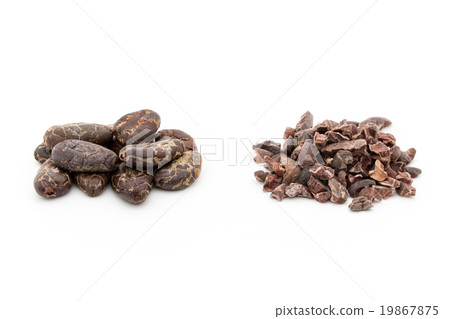 图库照片: cacao beans和cacao nibs:可可豆和豆腐(可可豆)
