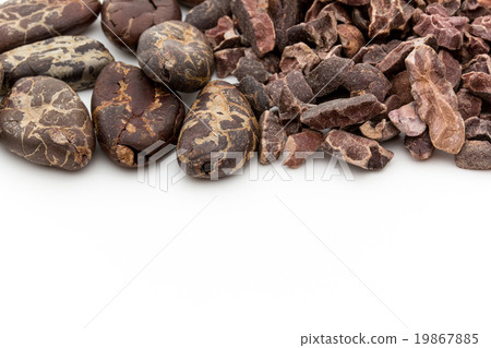 cacaobeans, 图库照片: cacao beans和cacao nibs:可可豆和豆腐(可可豆)