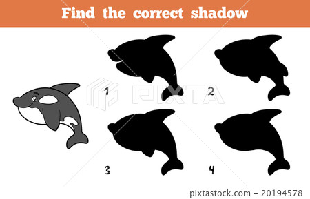 插图素材: find the correct shadow (killer whale)