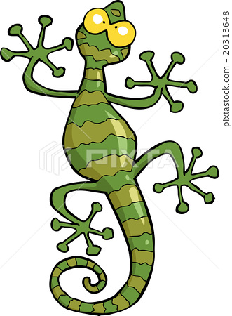 插图素材: green gecko lizard