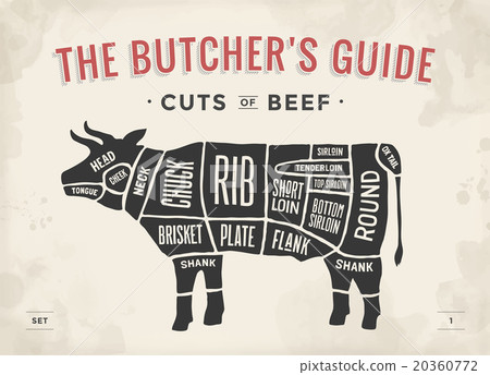 beef broth,beefbrisket 图库插图: cut of beef set. poster butcher diagram - cow