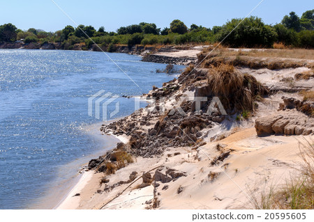 图库照片: bank of the river zambezi