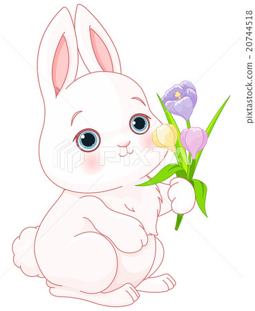 图库插图: bunny & flowers