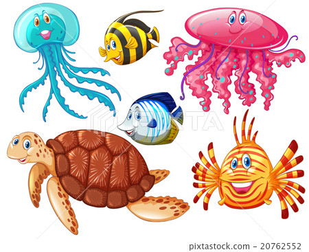 图库插图: various kind of sea animals