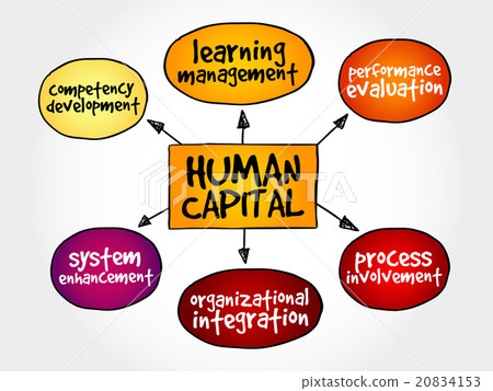 图库插图: human capital mind map