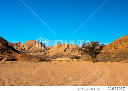 图库照片 sinai desert landscape