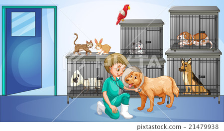 图库插图: vet and many animals in the cage