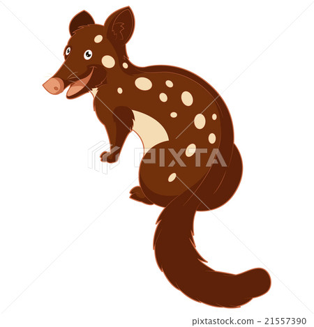 插图素材: cartoon smiling quoll