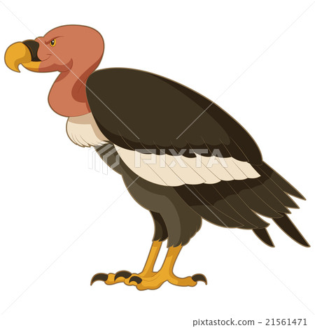 图库插图: cartoon smiling vulture