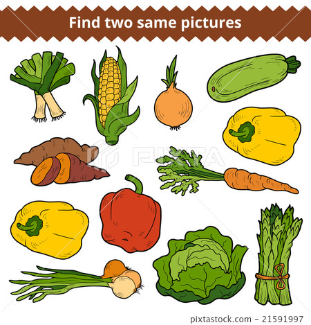 vector set of vegetables