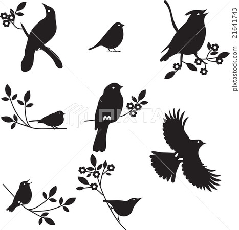 插图素材: vector collection of bird silhouettes 查看全部