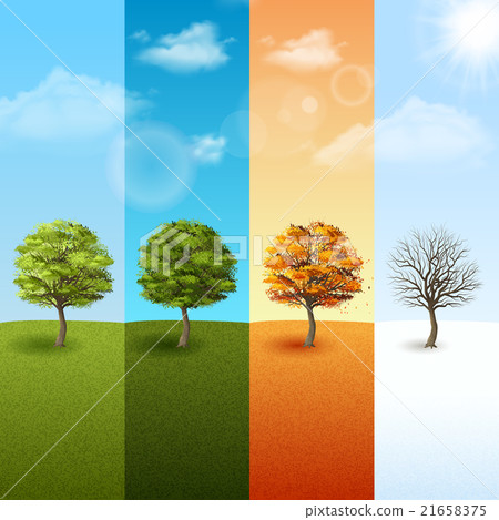 插图素材: four season tree banner set