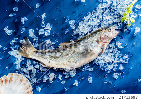 图库照片: fresh fish