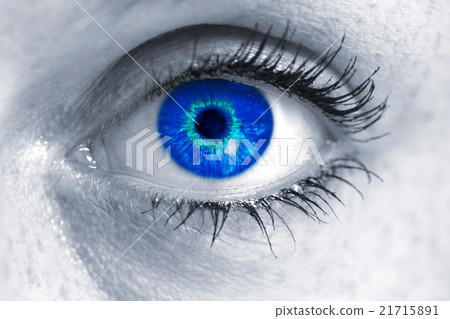 图库照片: eye with blue iris looks at viewer concept macro