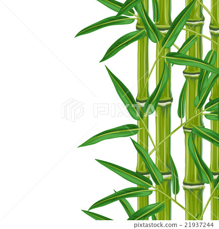 图库插图: seamless border with bamboo plants and leaves