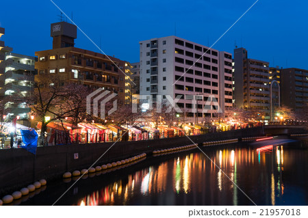 图库照片: 在大冈河樱花节4期间的夜景
