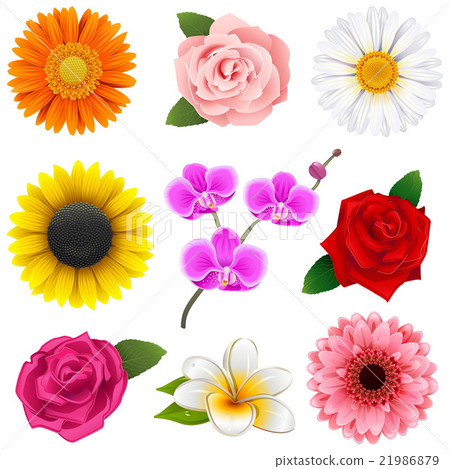 插图素材: vector flower icons