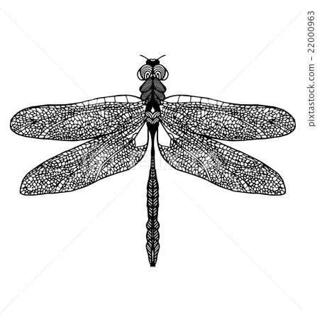 插图素材: hand drawn dragonfly on white background