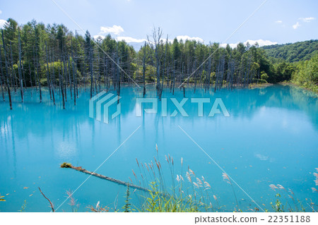 图库照片: 北海道蓝塘
