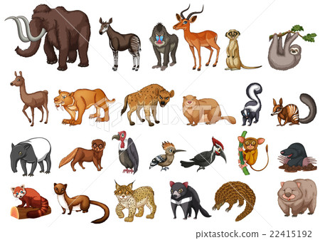 图库插图: different type of wild animals on white