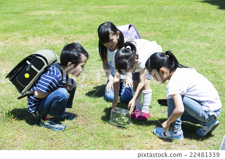 图库照片: 户外 小学生 玩耍