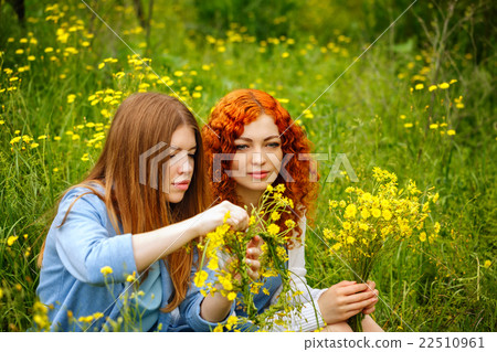 图库照片 girlfriends collect wildflowers.