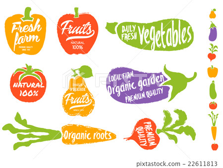 图库插图: healthy food vegetable background, vector.