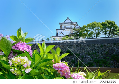 图库照片 绣球花和岸和田城堡