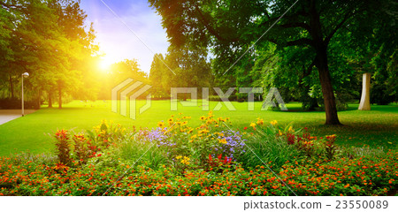 flowerbed,pickpocket 图库照片: summer park with beautiful flowerbeds