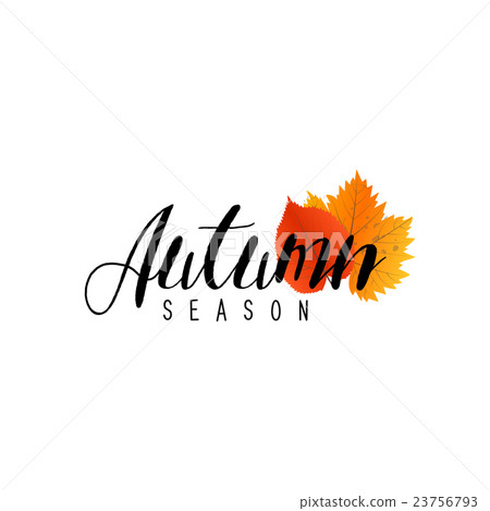 插图素材: autumn new season of sales and discounts, deals