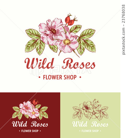 插图素材: flower logo shop