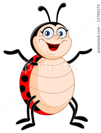 图库插图: lady bug