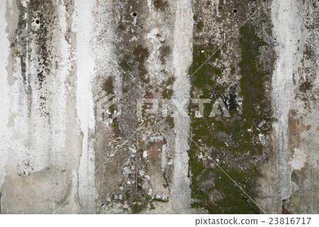 图库照片: concrete wall with grunge texture and moss