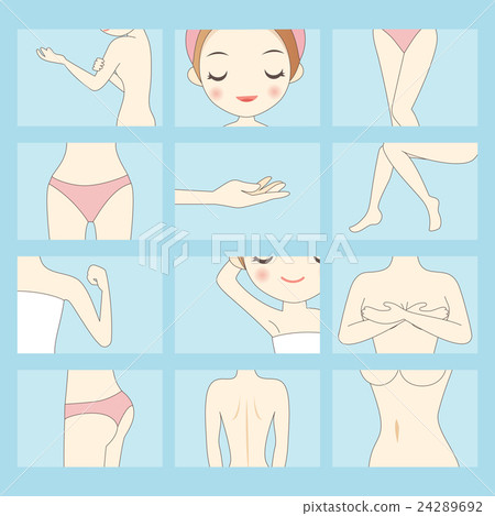 插图素材: woman various parts of body