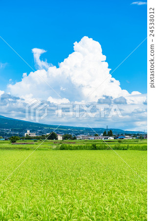 图库照片: 【长野县】国家风景和夏日的天空