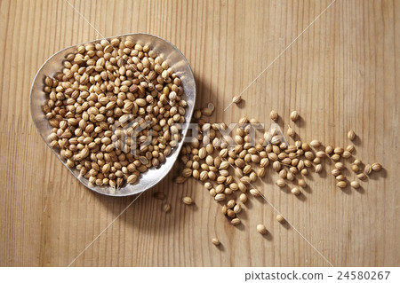 图库照片: coriander seed