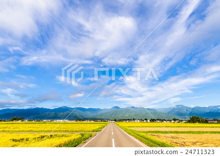 田地_稻田 稻田 照片 安昙野市 乡村风光 农村场景 首页 照片 风景
