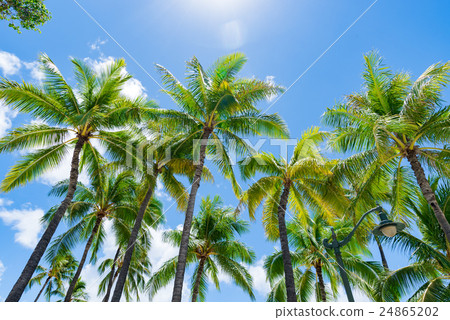 图库照片 夏威夷的假期