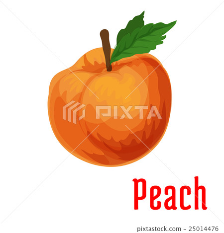 图库插图 fresh juicy peach fruit icon