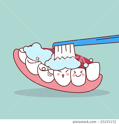 插图素材: how to brush your teeth