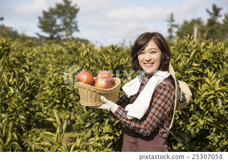 图库照片 middleaged asian female farmer holding a basketful of