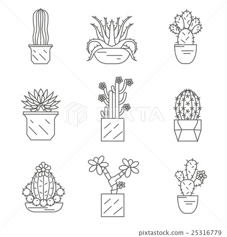 Cactuses And Succulents Icon Set Houseplants Stock Illustration