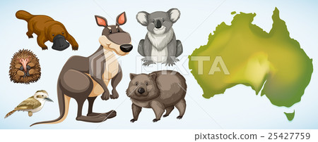 插图素材: different wild animals in australia