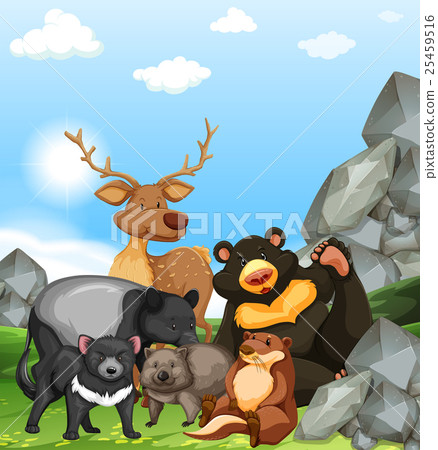 插图素材: wild animals in the park