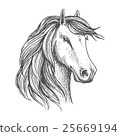 插图素材: brown horse sketch of arabian mare