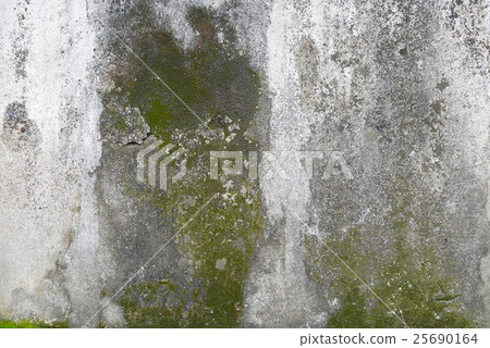 concretewall,precastconcrete 图库照片: concrete wall with grunge texture and moss algae