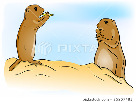 插图素材: prairie dog